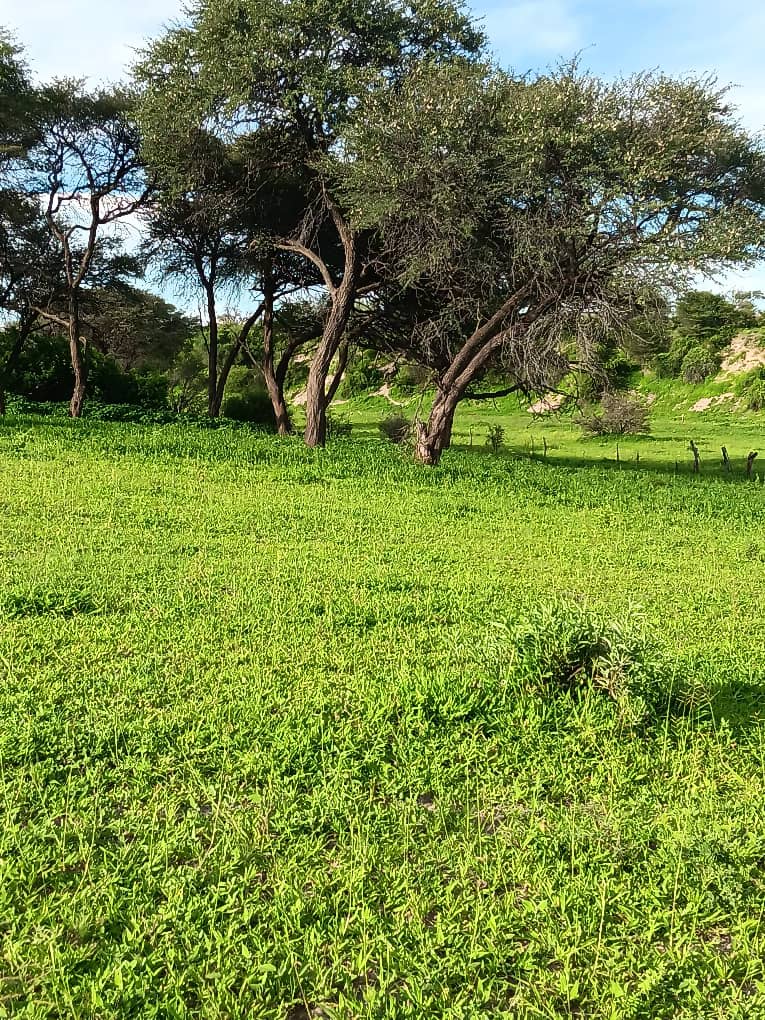 3-Day Botswana - Makgadikgadi Pans Adventure