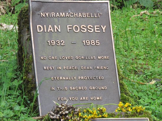 Dian Fossey's Grave