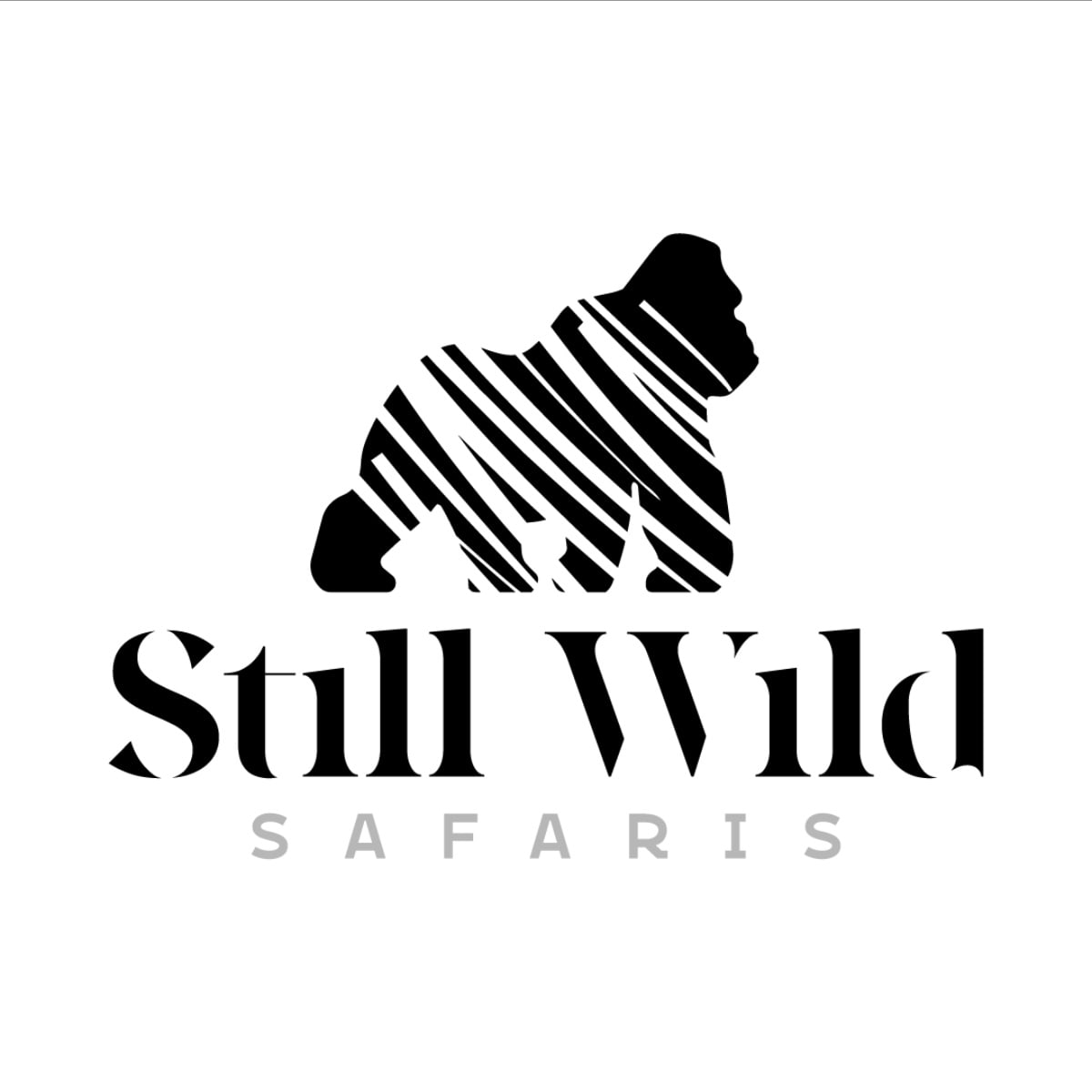 Still Wild Safaris 
