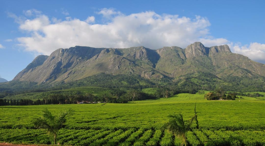 Sapitwa