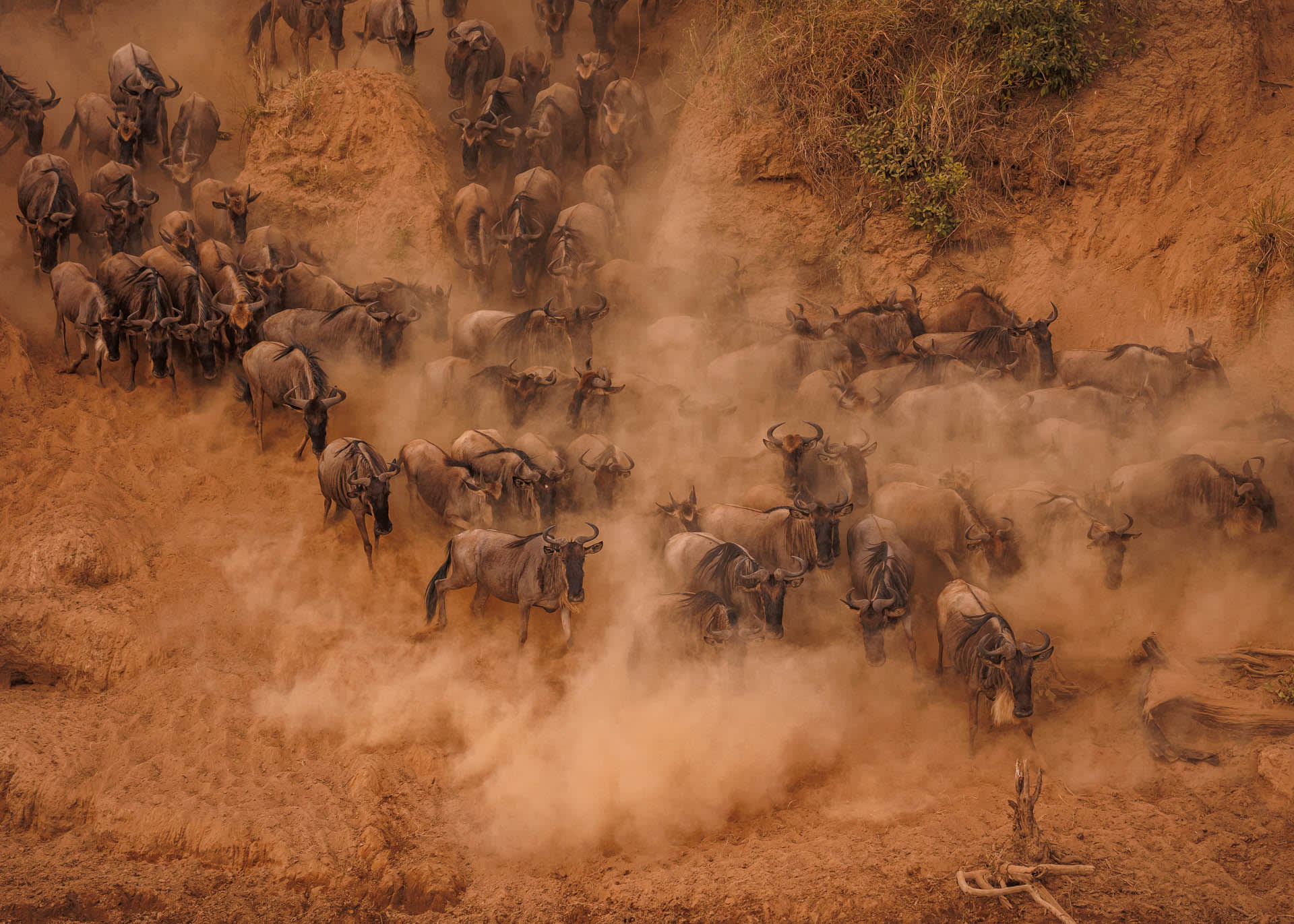 3-Day Kenya Masai Mara Private Safari
