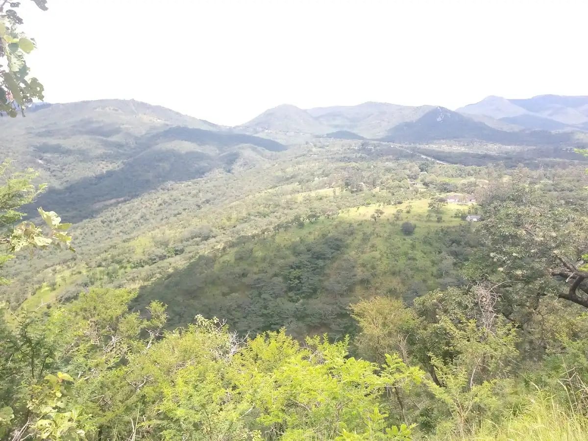 Bvumba Mountains