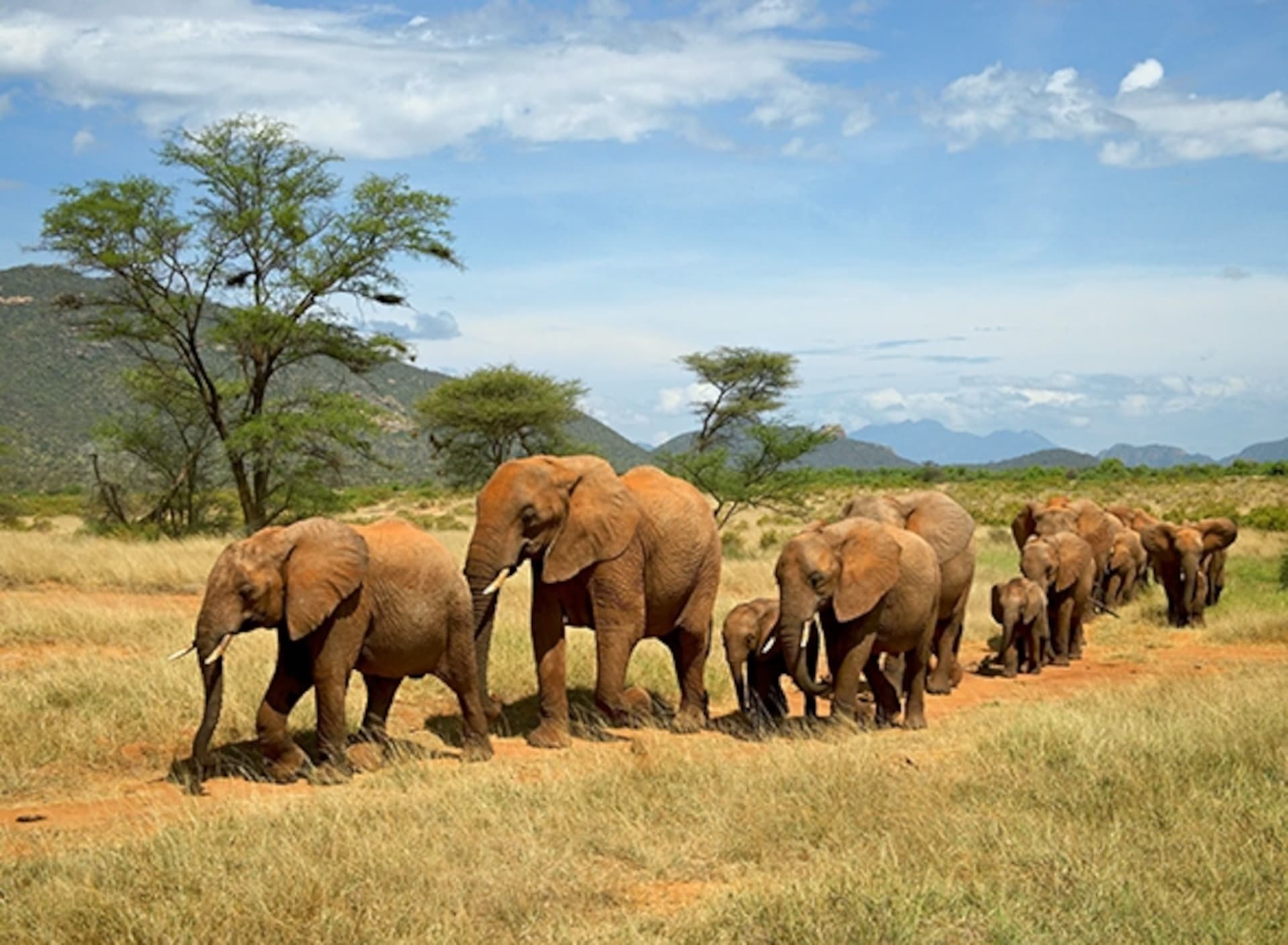 3-Day Kenya Samburu Private Safari