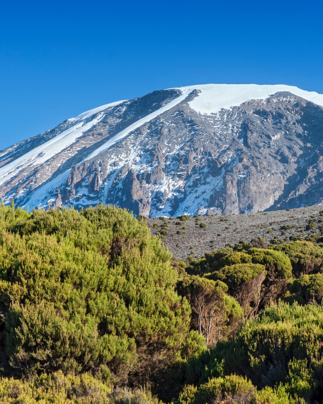 5-Day Tanzania Mount Kilimanjaro Marangu Route Climb