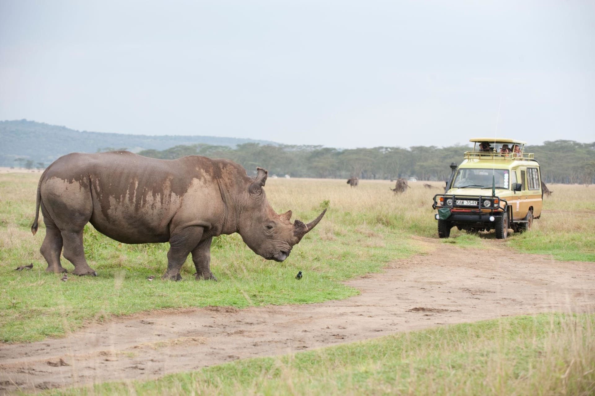 8-Day Kenya Private Luxury Safari