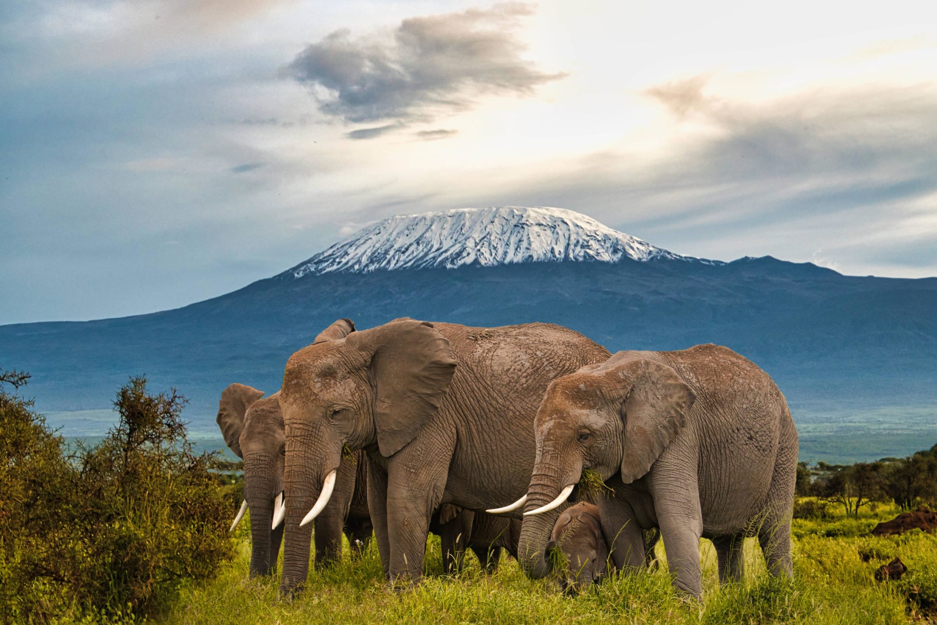 11-Day Kenya Safari & Double Gorilla Trekking