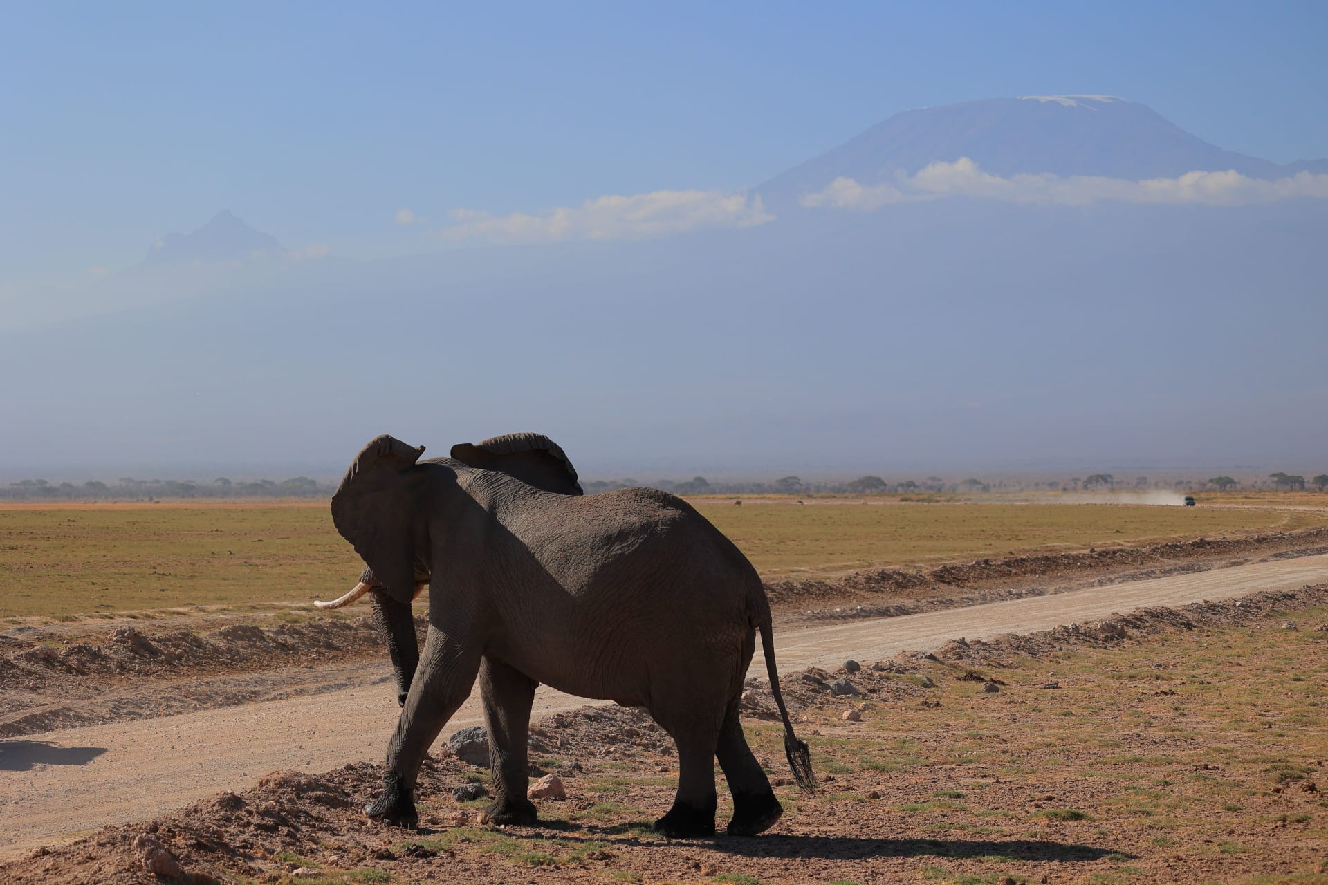 3-Day Amboseli Safari  Kilimanjaro & Wildlife in Kenya