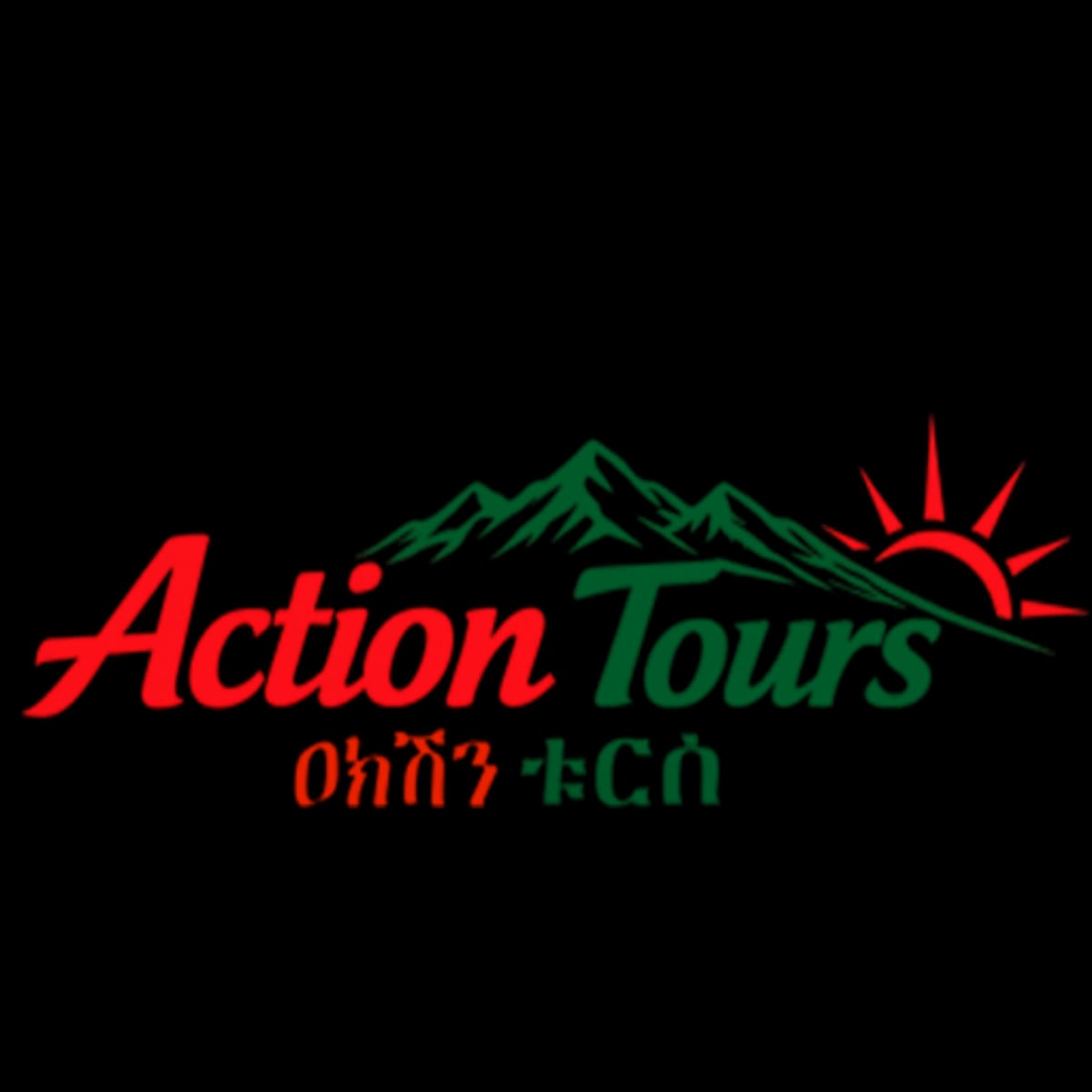 Action Tours