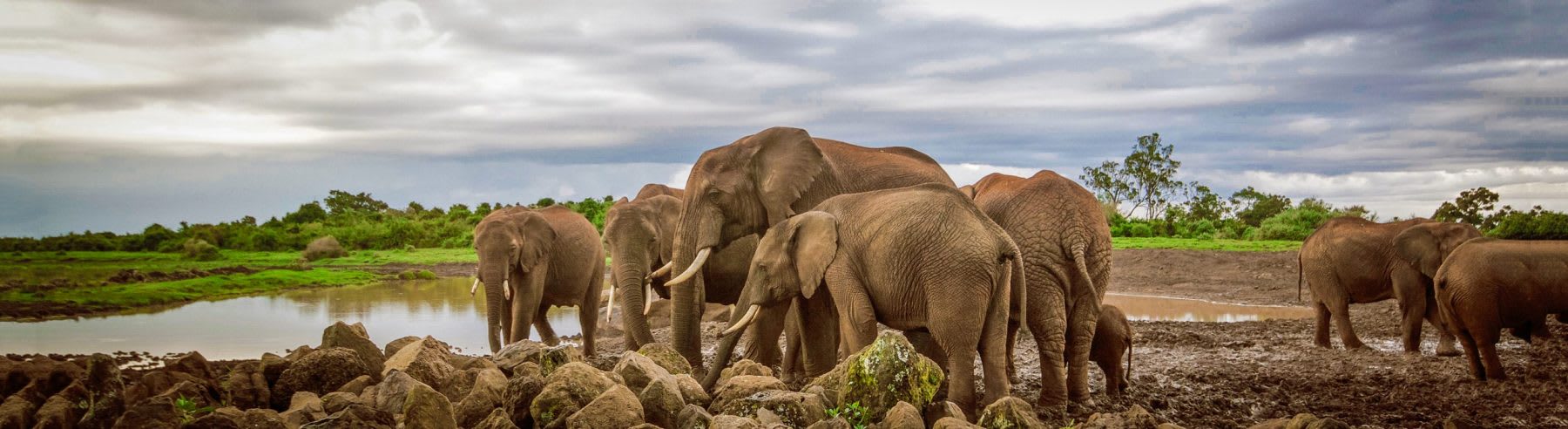 8-Day Magical Luxury Kenya Safari