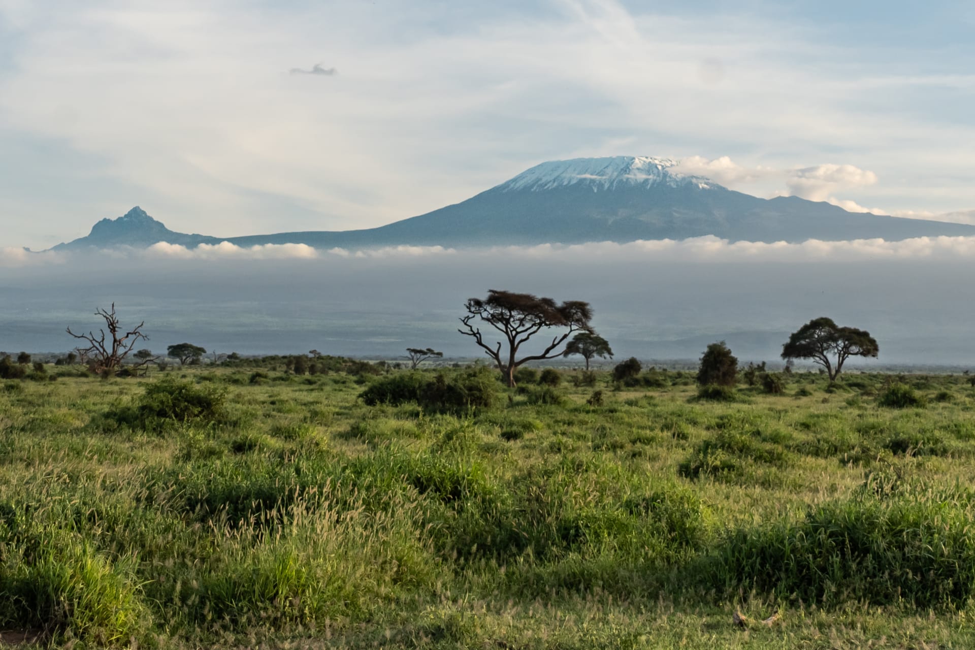 8-Day Kenya Wildlife Safari and Beach Getaway