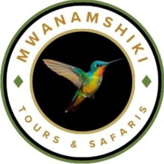 Mwanamshiki Tours and Safaris logo