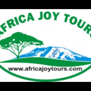 Africa Joy Tours logo