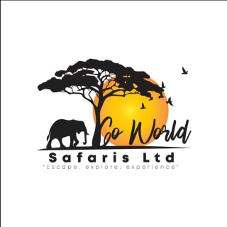 Go World Safaris Ltd logo