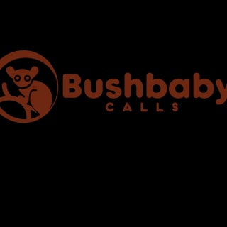 Bush Baby Calls logo