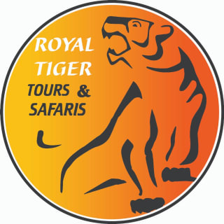 Royal Tiger Tours & Safaris LTD  logo