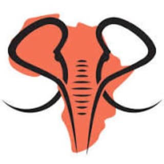 Future African Safari  logo