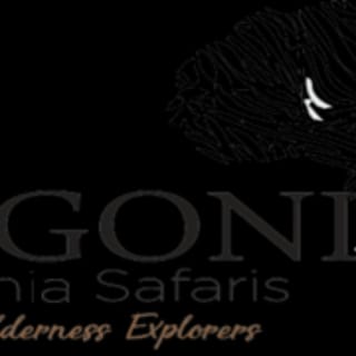 kimgoni Tanzania safaris logo