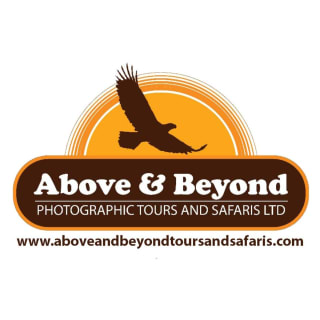 ABOVE & BEYOND PHOTOGRAPHIC TOURS AND SAFARIS logo