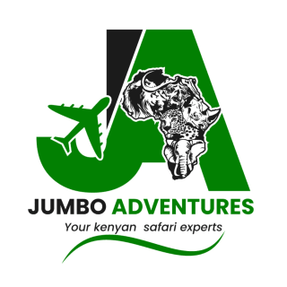 Jumbo Adventures logo