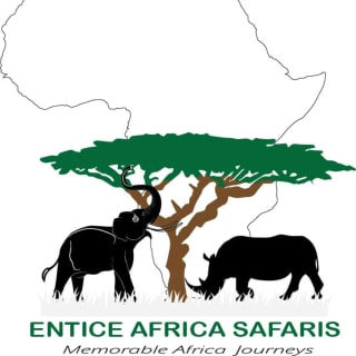 Entice Africa Safaris logo