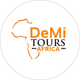 DeMi Tours logo