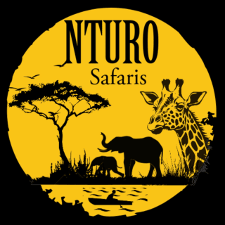Nturo Safaris logo