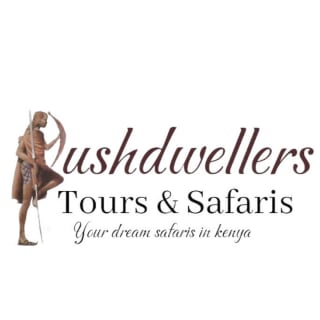 bushdwellers tours & safaris logo