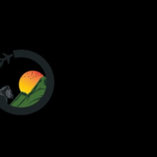 LINKS TRAVEL AGENCY logo