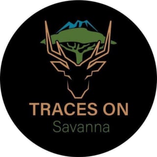 TRACES ON SAVANNA logo