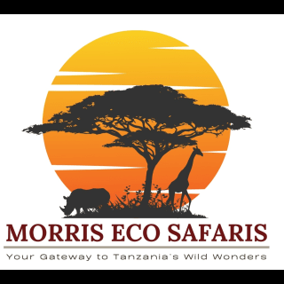 Morris Eco Safaris logo
