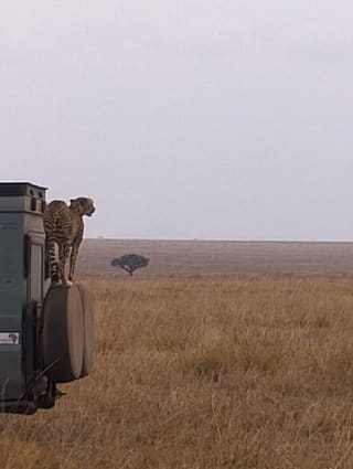 Traveler photo 1