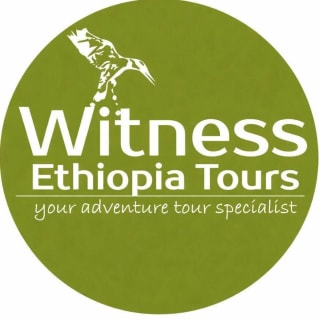 Witness Ethiopia Tours logo