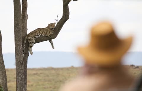 4-Day Luxury Honeymoon Fly-in Serengeti & Ngorongoro