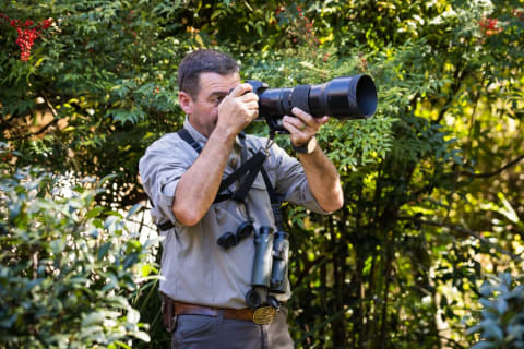 Safari photo by Sarel van der Westhuizen