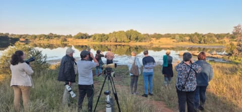 Safari photo by Sarel van der Westhuizen