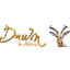 Dawn Safaris