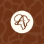 Africa's Wild Wonders