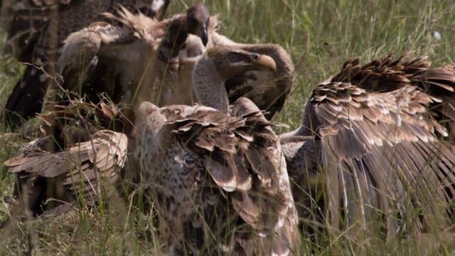 Serengeti National Park