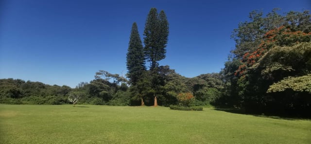 Gallery 4