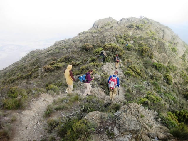 Gallery 2