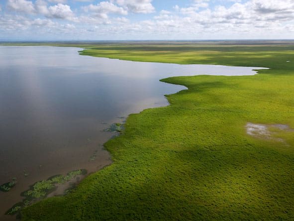 Lake Urema