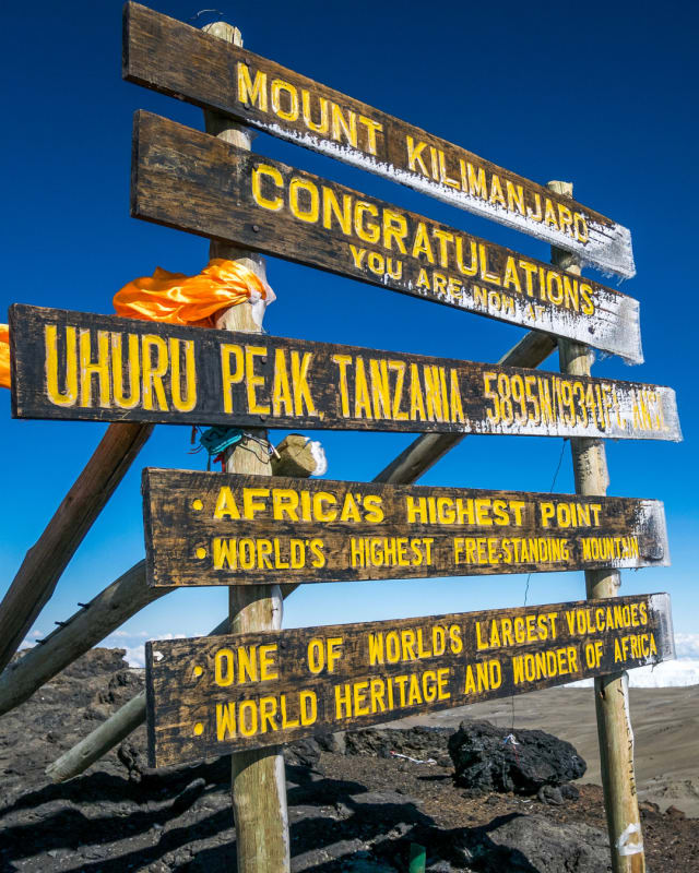 Gallery 3
