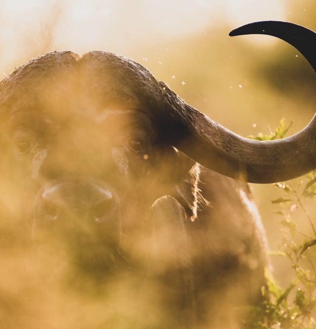10-Day Tanzania Bush Adventure