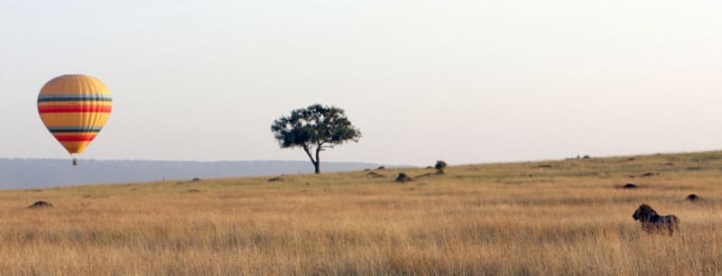 Kenya safari packages that include the Maasai Mara and Amboseli