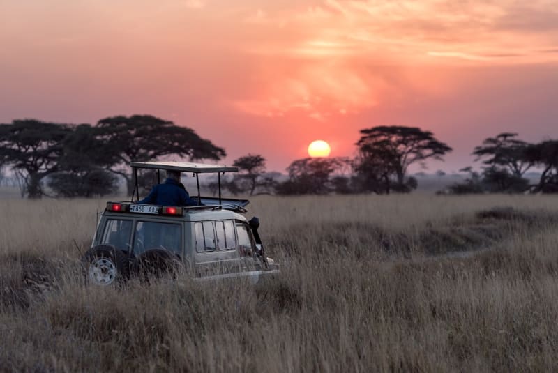 Best All-Inclusive Safari Packages Under $2000 Per Person for Romantic Getaways in 2025