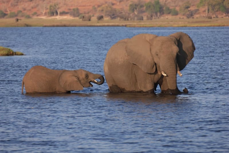 Botswana Visa for German Citizens: 2026 Entry Rules