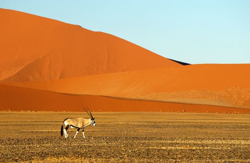 Vaccinations & Health Rules for Namibia for Italian Travellers 2026