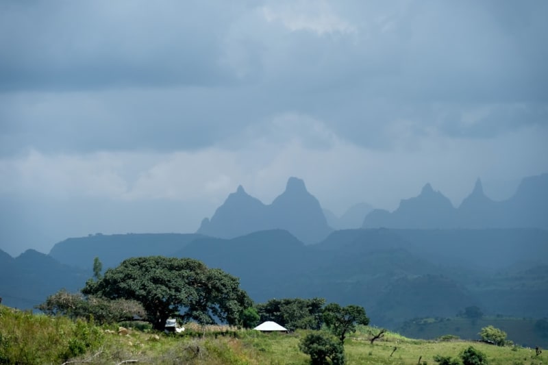 Ethiopia Safari Safety: 9 Smart Tips for a 2026 Trip