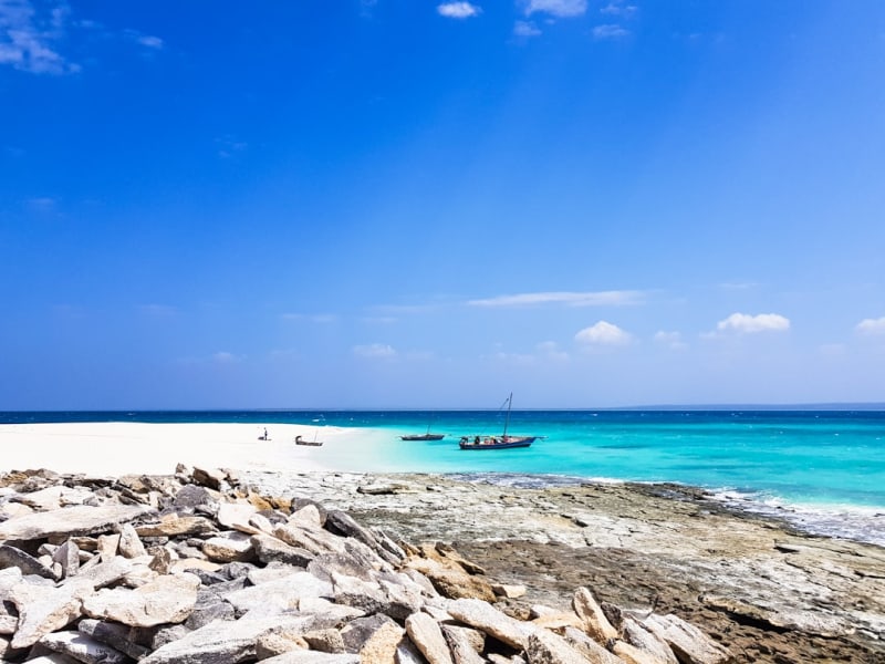 Mozambique Safari Prices 2026: 5 Budgets to Compare