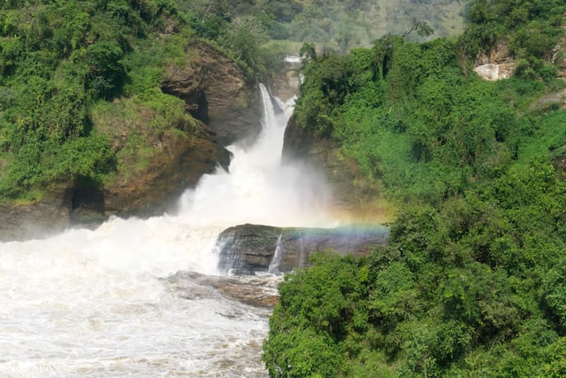 Murchison Falls Packages 2027: Fees, Prices & Best Routes